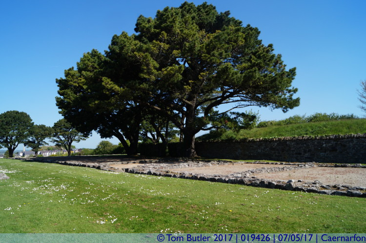 Photo ID: 019426, In the Roman fort, Caernarfon, Wales