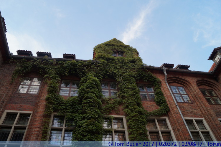 Photo ID: 020372, Ivy climbing the town hall, Torun, Poland