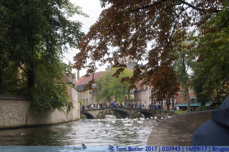 Photo ID: 020943, Canal by Wijngaardplein, Bruges, Belgium