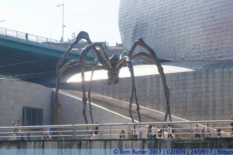 Photo ID: 021074, Spider, Bilbao, Spain
