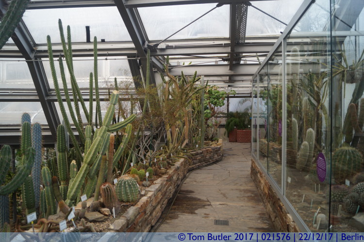 Photo ID: 021576, In the Cacti house, Berlin, Germany