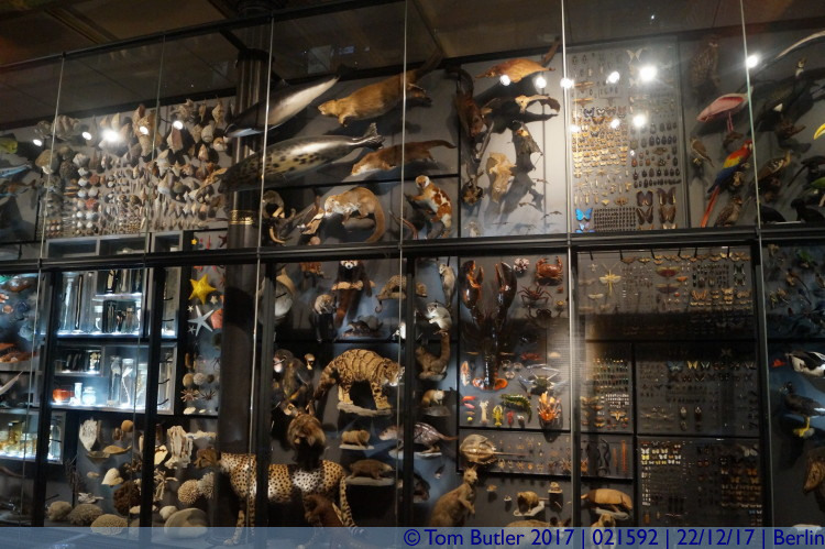 Photo ID: 021592, Range of specimens, Berlin, Germany