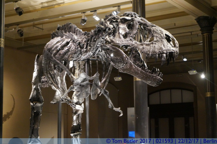 Photo ID: 021593, Tristan the T-Rex, Berlin, Germany