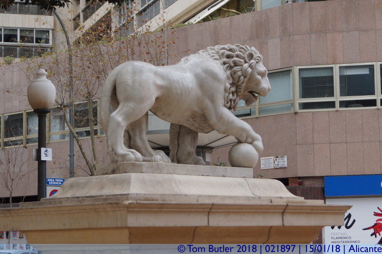 Photo ID: 021897, Lions, Alicante, Spain
