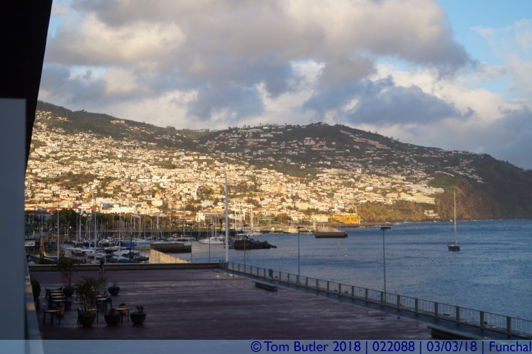 Photo ID: 022088, Evening sun over the city, Funchal, Portugal