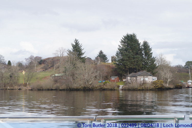 Photo ID: 022489, Inchmurrin, Loch Lomond, Scotland