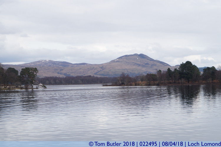 Photo ID: 022495, Between the islands, Loch Lomond, Scotland