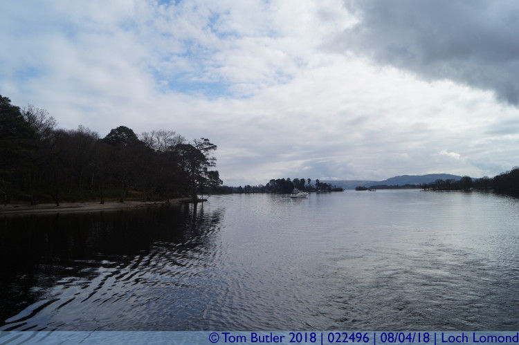 Photo ID: 022496, Inchconnachan, Loch Lomond, Scotland