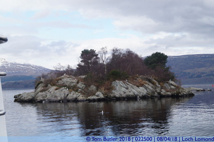 Photo ID: 022500, Rocky island, Loch Lomond, Scotland