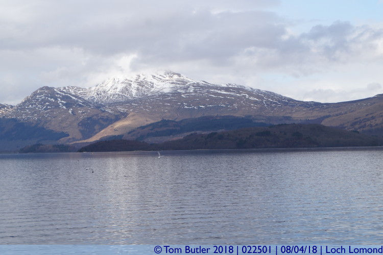 Photo ID: 022501, Ben Lomond, Loch Lomond, Scotland