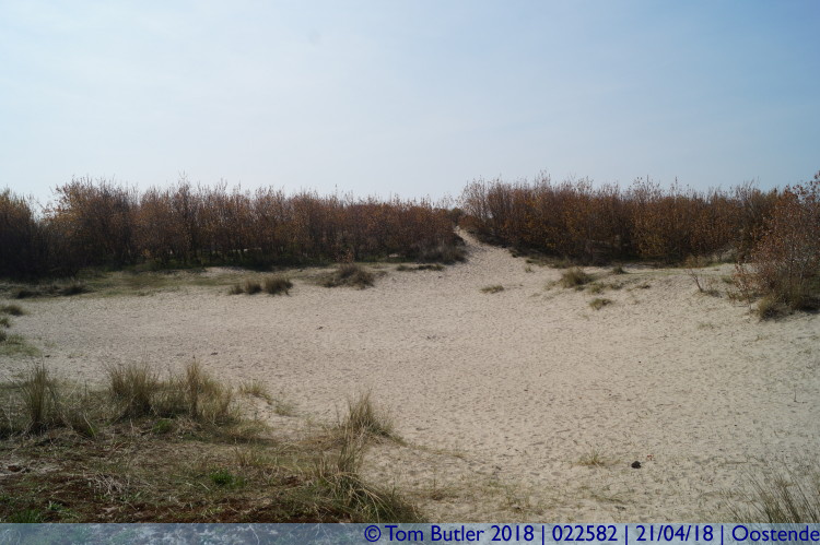 Photo ID: 022582, In the dunes, Oostende, Belgium