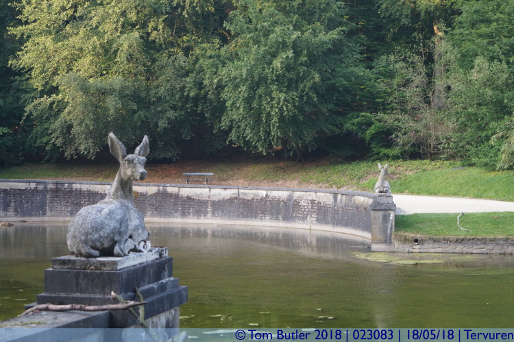 Photo ID: 023083, Deer, Tervuren, Belgium
