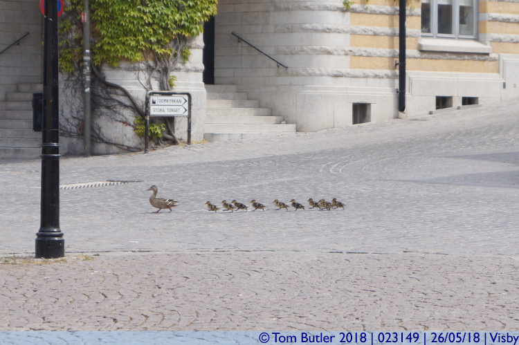 Photo ID: 023149, Taking the kids for a walk, Visby, Sweden