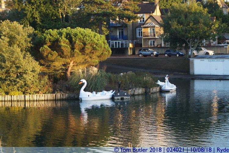 Photo ID: 024021, Swans, Ryde, Isle of Wight
