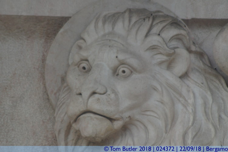 Photo ID: 024372, Worried looking lion, Bergamo, Italy