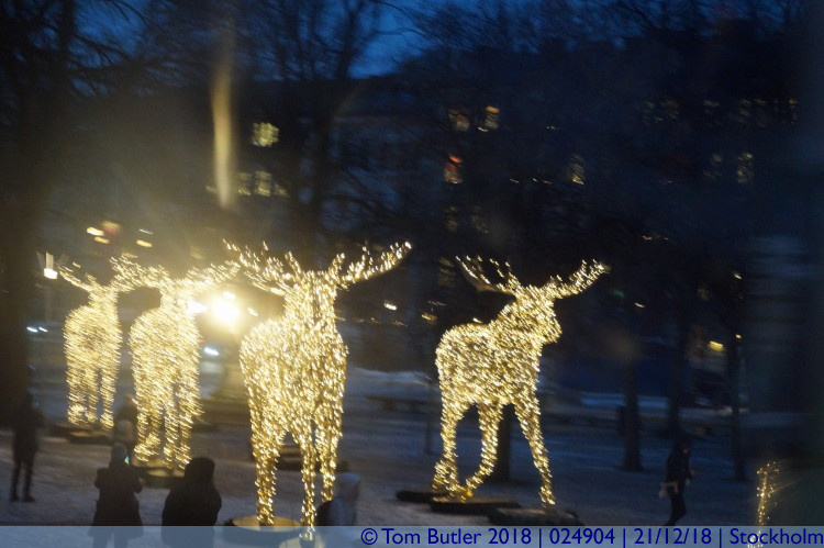 Photo ID: 024904, Fairy Reindeer, Stockholm, Sweden