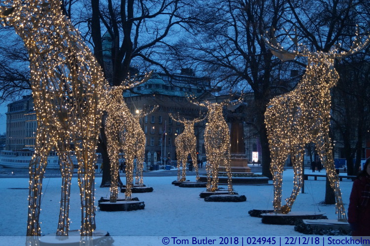 Photo ID: 024945, Between the Reindeer, Stockholm, Sweden