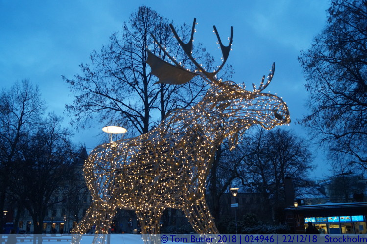 Photo ID: 024946, Lights and antlers, Stockholm, Sweden