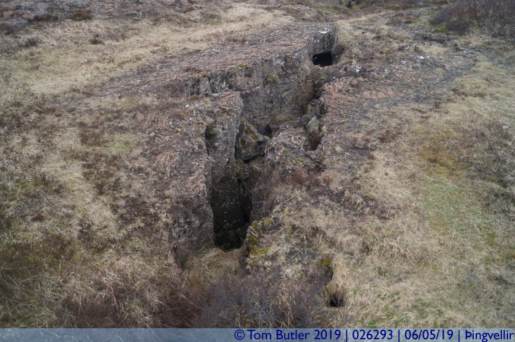 Photo ID: 026293, Fissures, ingvellir , Iceland
