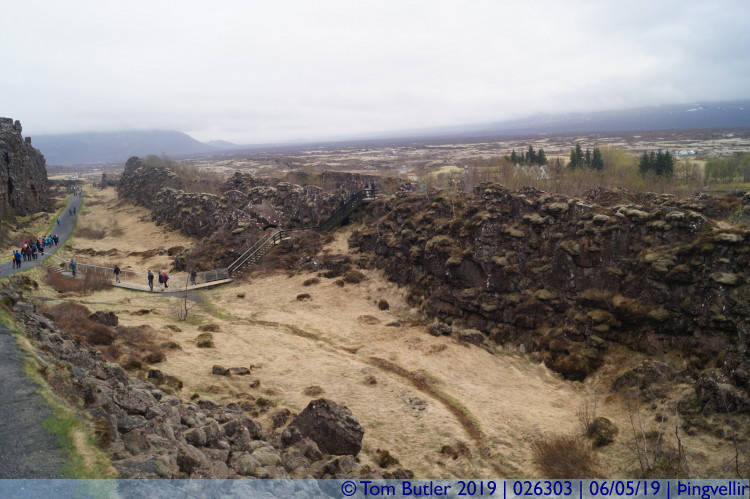 Photo ID: 026303, Fissures, ingvellir , Iceland