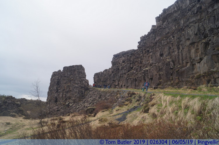 Photo ID: 026304, Lava wall, ingvellir , Iceland