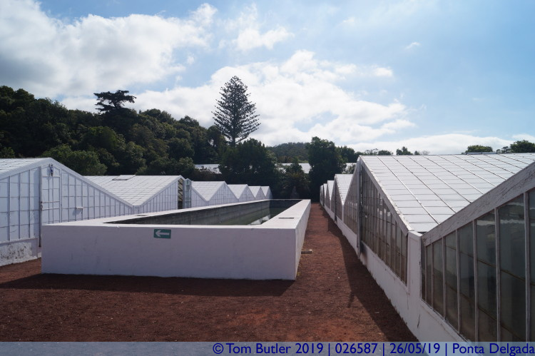 Photo ID: 026587, Greenhouses, Ponta Delgada, Portugal