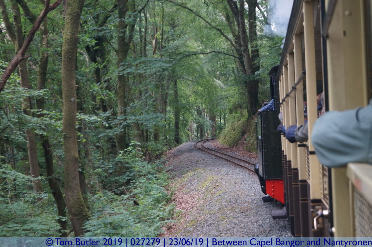 Photo ID: 027279, In the woods, Between Capel Bangor and Nantyronen, Wales