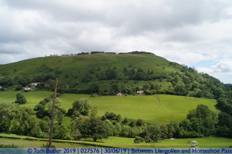 Photo ID: 027576, Green hills, Between Llangollen and Horseshoe Pass, Wales
