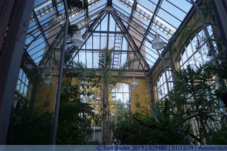 Photo ID: 029480, Inside the Palm house, Amsterdam, Netherlands