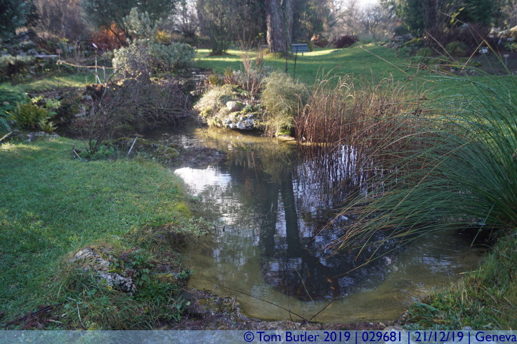 Photo ID: 029681, Rockery pond, Geneva, Switzerland