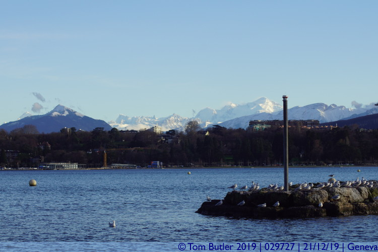 Photo ID: 029727, View from the banks of the lake, Geneva, Switzerland