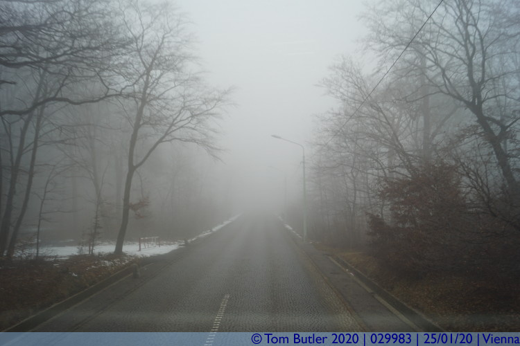 Photo ID: 029983, Into the mists, Vienna, Austria