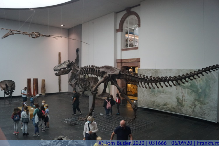 Photo ID: 031666, T-Rex without skin, Frankfurt am Main, Germany