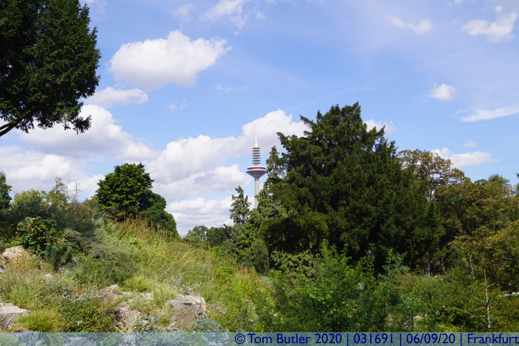 Photo ID: 031691, TV Tower and trees, Frankfurt am Main, Germany