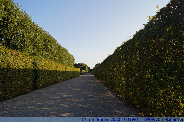 Photo ID: 031961, Hedge lined avenues, Hannover, Germany