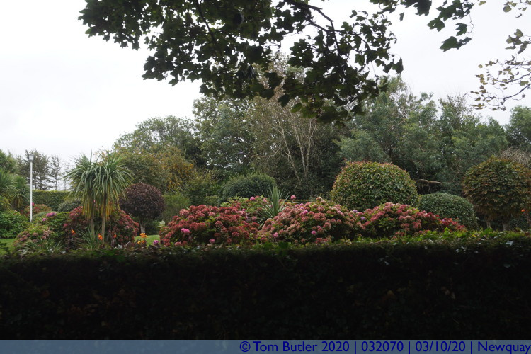 Photo ID: 032070, Tropical planting, Newquay, Cornwall