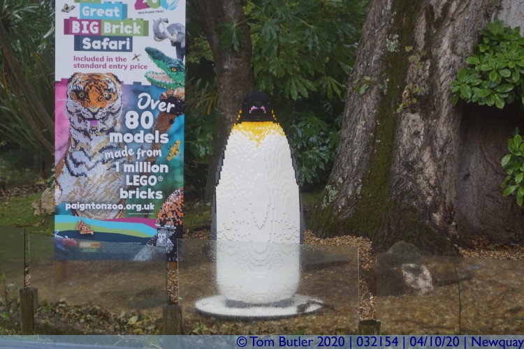 Photo ID: 032154, Plastic Penguin, Newquay, Cornwall