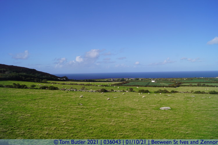 Photo ID: 036043, North Cornish coast, Between St Ives and Zennor, Cornwall