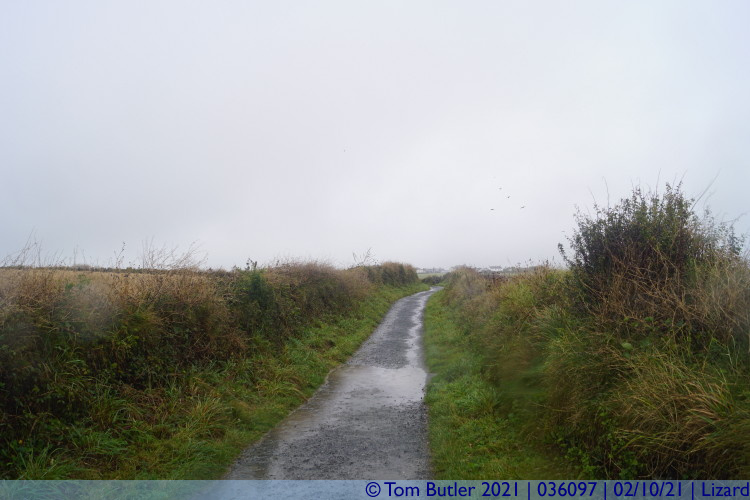 Photo ID: 036097, A very damp lane, Lizard, Cornwall