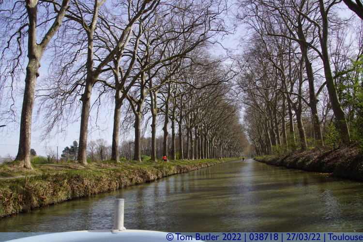 Photo ID: 038718, Under the trees of the Canal du Midi, Toulouse, France