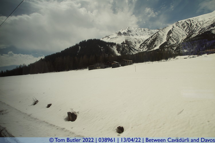 Photo ID: 038961, Into the snow, Between Cavadrli and Davos, Switzerland