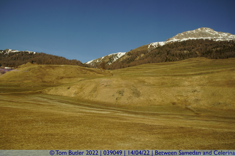 Photo ID: 039049, Rolling hills, Between Samedan and Celerina, Switzerland