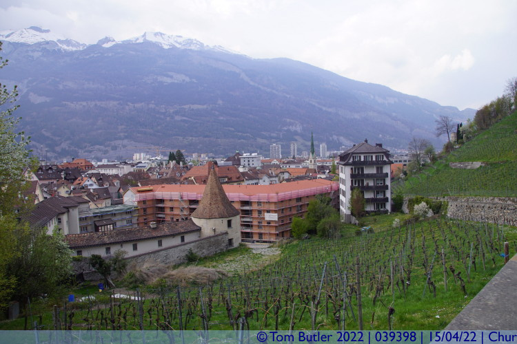 Photo ID: 039398, Vineyards and Alps, Chur, Switzerland