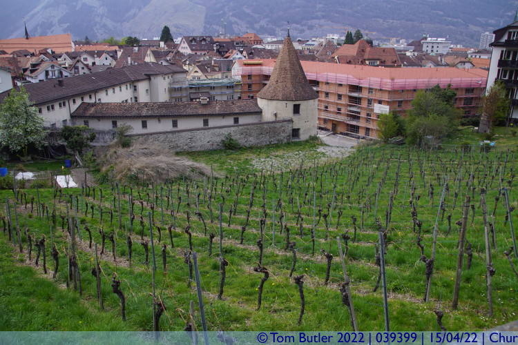 Photo ID: 039399, Small tower in a vineyard, Chur, Switzerland