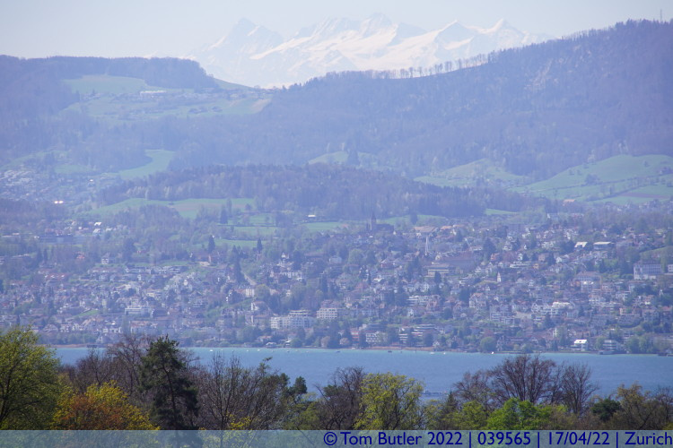 Photo ID: 039565, View from the Dolder, Zurich, Switzerland