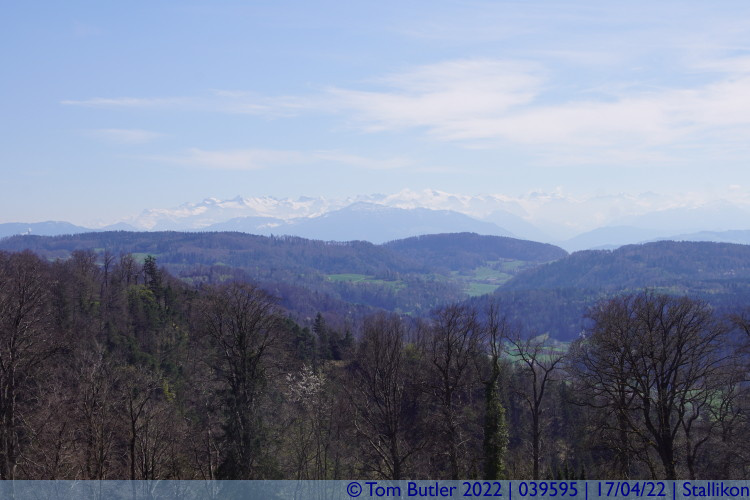 Photo ID: 039595, Alps in the distance, Stallikon, Switzerland