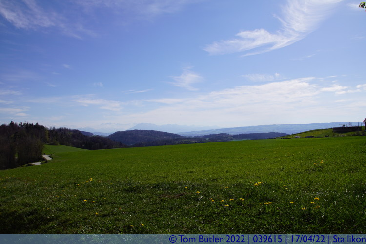 Photo ID: 039615, Rolling fields, Stallikon, Switzerland