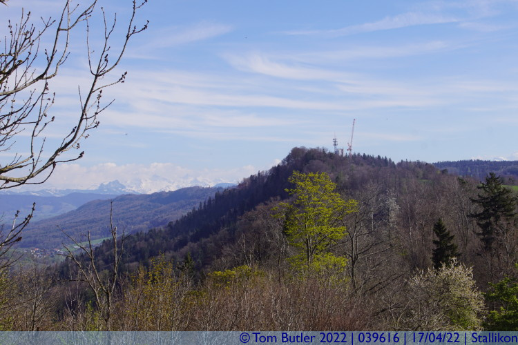 Photo ID: 039616, Felsenegg tower in the distance, Stallikon, Switzerland