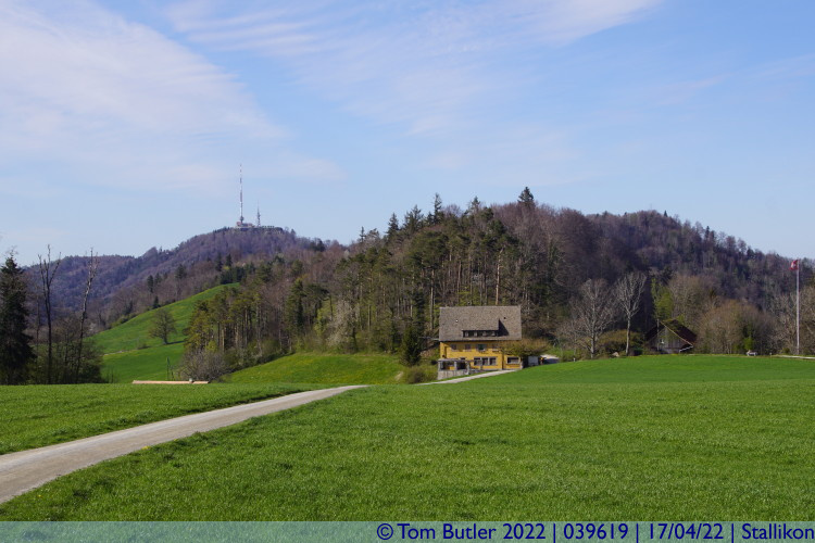 Photo ID: 039619, Uetliberg in the distance, Stallikon, Switzerland