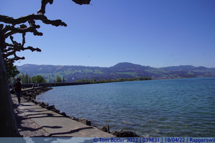 Photo ID: 039631, Bottom of Lake Zurich, Rapperswil, Switzerland